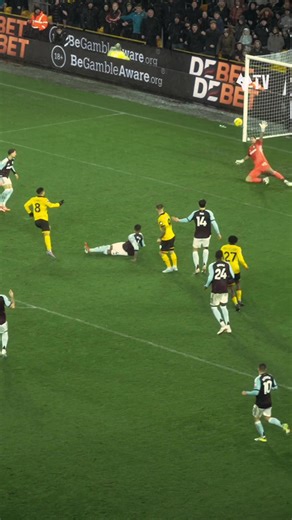 This finish 🤌🇧🇷 #joaogomes #wolves #premierleague