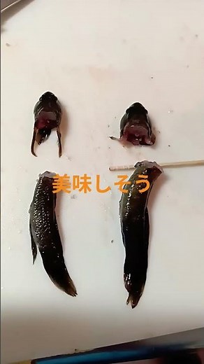 ハゼが唐揚げになるまで #さかな #美味しい #作り方 #ゆっくり解説 #唐揚げ #レシピ