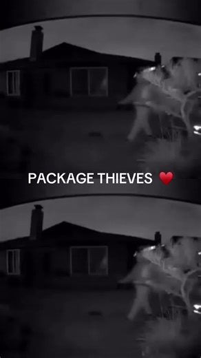 Package Thieves Caught on Camera in Anaheim
