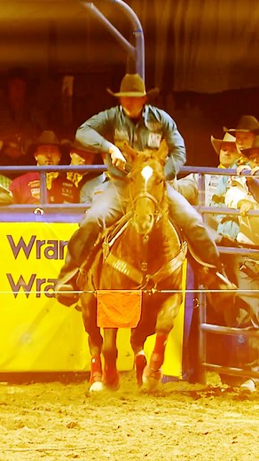 9.1K views · 137 reactions | Big celebrations for that Round 3 win! #WranglerNFR #WinningRide 2023 NFR Winning Rides Round 3 - Nick Guy | Official NFR Experience | Facebook