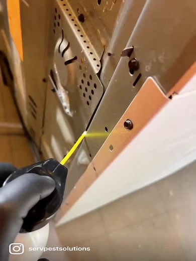 Treated a home that was infested with German Roaches a few months back. When inspecting for roaches make sure to check your ovens and microwaves roaches love to hide inside cause that’s where it’s the warmest in the house. #germanroaches #pestcontrol #capecod #bugs #ants #pest #fyp #roaches #infested #lovemyjob #spiders #selfemployed #followformore