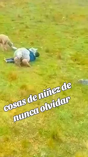 Videos de René aroni (@aronis.92) con “sonido original - René aroni”