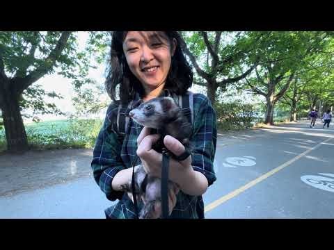 HDR - Golden hour bike rides around Greenlake, Seattle, September 2025