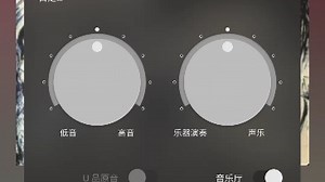 这款Musicolet播放器还不够乡村化吗[狗头]
