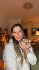 Info utili sull’opera dat di domenica🎄🎅❤️ | Love Chihuahua