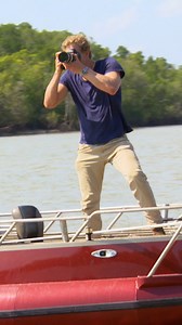 494K views · 8.9K reactions | Vet fails to catch injured wild bird  #bird #eagle #fail | Bondi Vet | Facebook