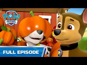 Pups Save the Fall Festival - 101B - PAW Patrol Full Episode - Cartoons for Kids - Videos For Kids