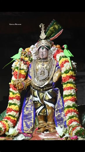 367 reactions · 32 shares | *Sri Vidhya Rajagopalaswamy Temple,...