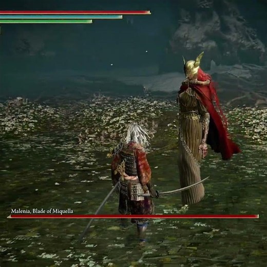 Malenia Is Almost 9 Feet Tall! 😱 | Elden Ring