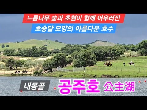느릅나무 숲과 초원이 함께 어우러진 초승달 모양의 아름다운 호수 #공주호 #내몽골 #중국 #패키지여행 #해외여행