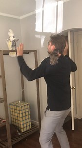 14K views · 170 reactions | No one knew how to cheer up this sad cockatoo....until she heard "Old Town Road." The rest is history.  | Humankind | Facebook