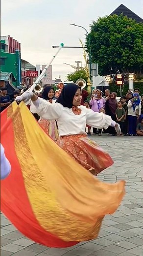Color Guard Marching Band Flag Spinning