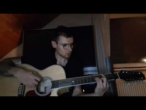 Tom Petty - A Face In The Crowd 12-String Cover