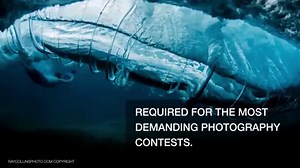 Everything printed by Epson! Our inkjet technology promises stunning quality whatever your need, even if you are a renowned leading art photographer like Ray Collins. Explore Epson's award-winning ProGraphic series here: https://bit.ly/2RHm0Tl RAYCOLLINSPHOTO.COM© | Epson