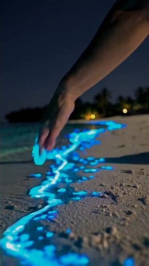 “Feel like a dream… but it’s real 😍🌎✨”