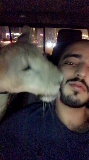 ‏#jeddah #cheetah #اسد #saudiarabia #حيونات #مشاءالله #الكويت #السعودية