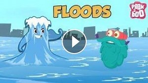 FLOODS - The Dr. Binocs Show | Best Learning Videos For Kids | Peekaboo Kidz
