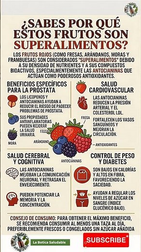 ¿Por qué los Frutos Rojos son SUPERALIMENTOS? 🍓