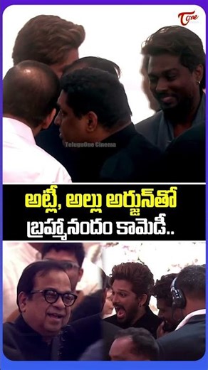 Brahmanandam Fun With Allu Arjun & Atlee At Allu Sirish & Nayanika Wedding Reception | #shorts