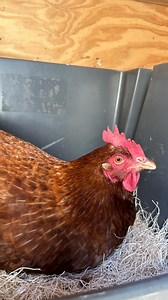 452K views · 3.6K reactions | Mites tend to be more active fall and...