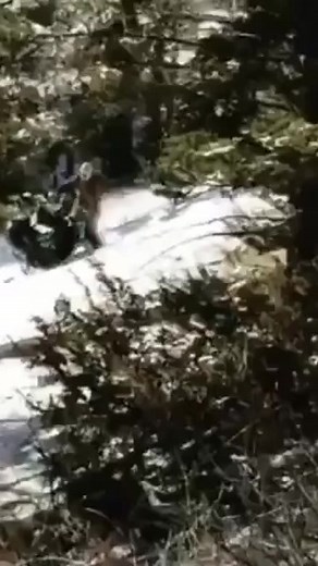 183K views · 1.7K reactions | Snowmobile on Reels | Facebook