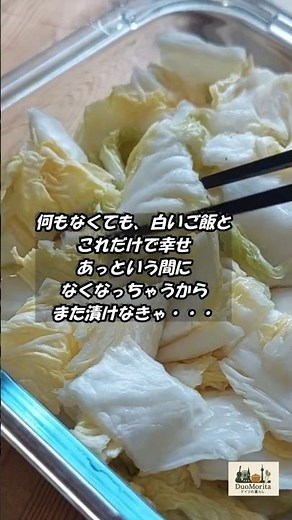 冬の漬物シリーズ①白菜×塩×昆布だけ！2日でできる簡単白菜漬け