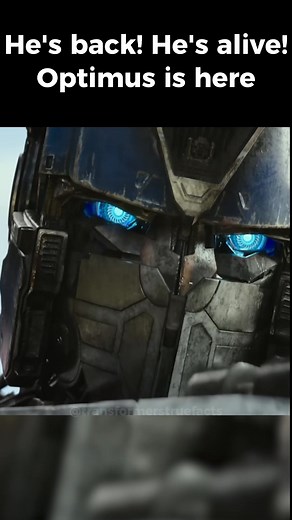 Transformers True Facts on TikTok