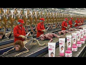 Inside the Monkey Fat Luxury Factory | From Raw Material to Premium Fair & Lovely Process