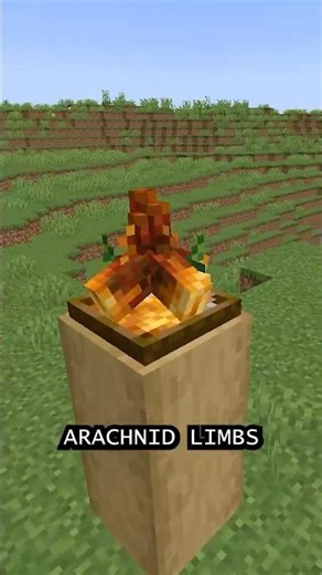 Minecraft But The Food Is UNHINGED