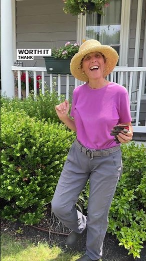 ✂️😁How To Prune Overgrown Boxwoods (and most other shrubs)