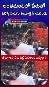 అంతమందిలో పేరుతో పిలిస్తే ఏనుగు రియాక్షన్ చుడండి. బీమా అని పేరు పెట్టి పిలిచింది ఎవ్వర్రా? #elephant #elephants #wildlife #elephantlove #elephantlover #animals #elephantsofinstagram #nature #elephantlovers #safari #wildlifephotography #travel #art #africa #photography #love #kerala #elephantart #babyelephants #saveelephants #africanelephant #elephanttattoo #elephantfamily #animal #thailand #loveelephants #naturephotography #elephantbaby #aana #lion | Deeksha Media