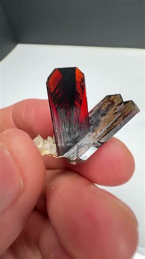 Brookite with Quartz - Pakistan | Fine Art Minerals | Brookite |
