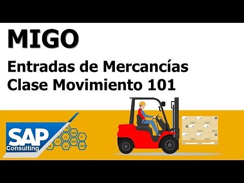 MIGO Merchandise Entry Class Movement 101 and Reverse Merchandise 102