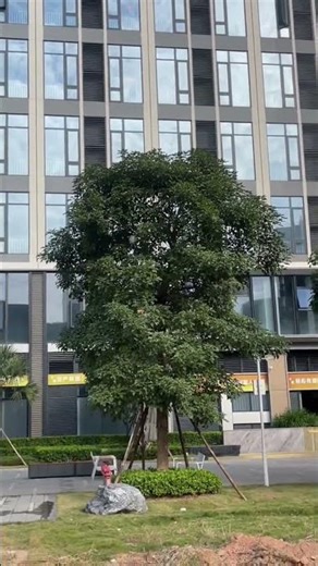 Airplane Drone Glider Remote Control 2