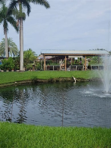 Flamingo Road Nursery and Farmers Market on Reels | Facebook