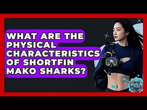 What Are The Physical Characteristics Of Shortfin Mako Sharks? - The Marine Life Explorer