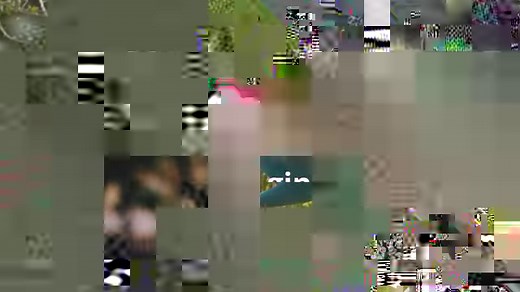 2K views · 33 reactions |   Tous nos conseils pour planter du gingembre et bien l'entretenir pour réussir la culture de cette plante exotique bienfaisante. À vos plantations  https://bit.ly/2UDoncE | Consoglobe.com | Facebook