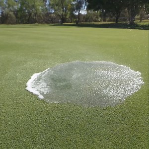 307K views · 498 reactions | Is your lawn struggling with water...