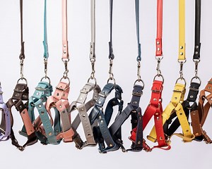 Leather Dog Harness, Personalized Dog Harness and Leash Set, Small Medium Large Dog Harness, No Pull Girl Dog Harness - Etsy