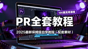 【PR教程】沉浸式学习PR：100集全程实战，无废话，带你摸清每一个功能细节！学完直接上手