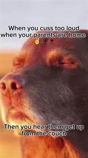 Ggs ✌️✌️🥀🥀#memes #funny #subscribe #fyp #viral #shorts