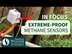Monitoring Methane: Stanford researchers design sensors to detect methane emissions from wetlands
