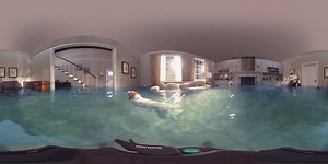 496K views · 1.3K reactions | Ever wonder what your pets do while you’re at work? For one homeowner, it was turning their living room into a community swimming pool. Pan around to witness the 360 degrees of soggy, doggy destruction. At Farmers, we’ve seen it, and covered it, more times than you might believe. | Farmers Insurance | Facebook