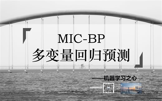 【回归预测 | MIC-BP】MIC-BP最大互信息系数数据特征选择算法结合BP神经网络的数据回归预测
