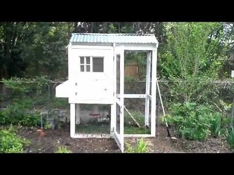 Backyard Chickens The Complete How to Guide Plus Coop Tour [CC]