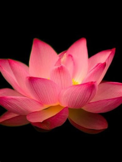 Enchanted: Slowed Music Vibes