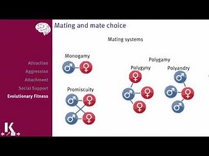 Social Behavior | How Humans Interact, Cooperate & Influence Each Other