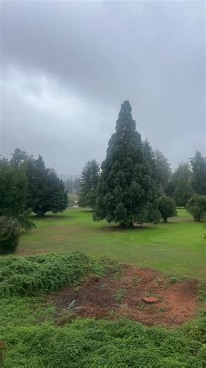 #oregon #morning 😊