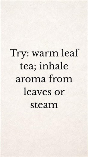Peppermint 101: cooling, aromatic support for sluggish or tense moments #herbal #herbalism