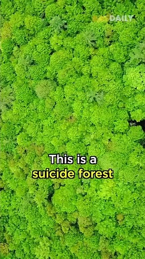 The Mysterious Suicide Forest #124